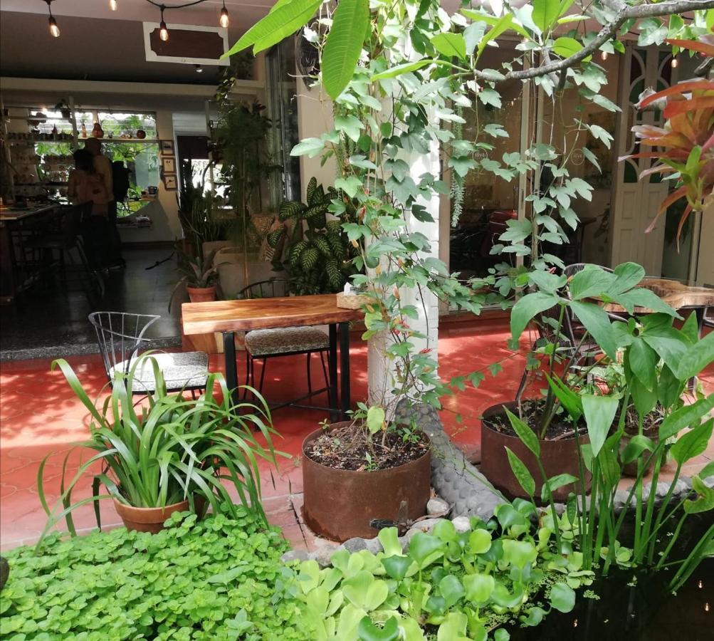 סאן סלבדור Cinco Hotel B&B מראה חיצוני תמונה