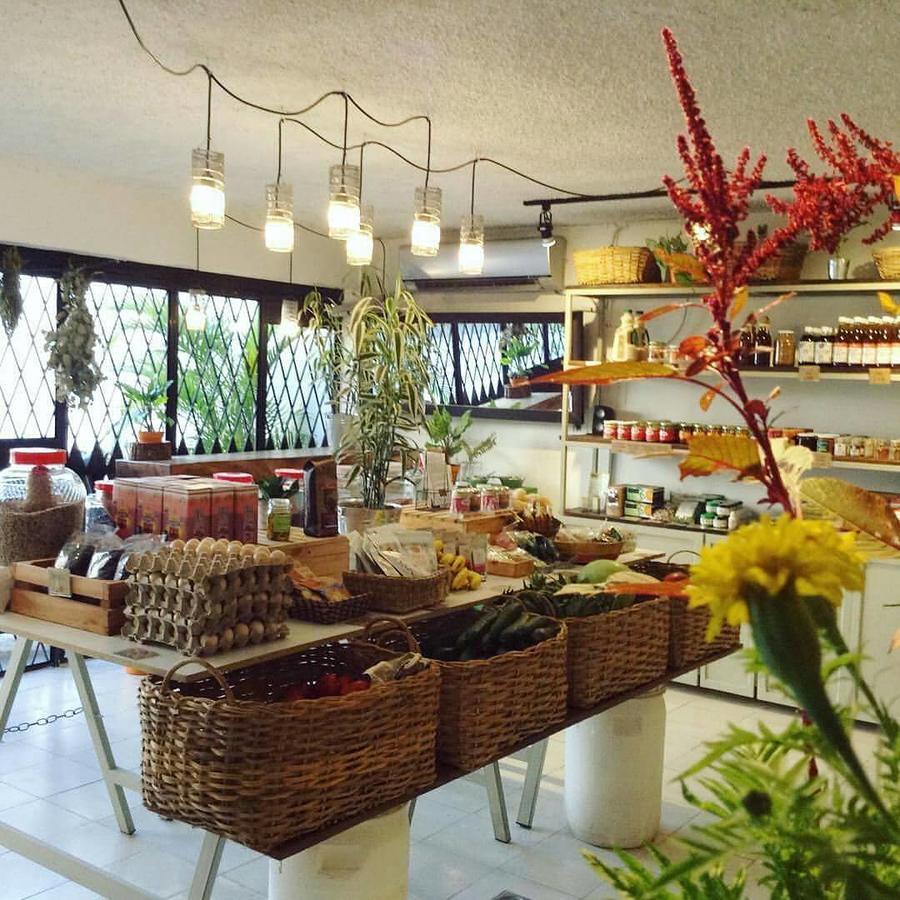 סאן סלבדור Cinco Hotel B&B מראה חיצוני תמונה